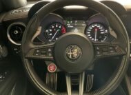 ALFA ROMEO Stelvio 2.9 V6 Quadrifoglio Q4 Automatic